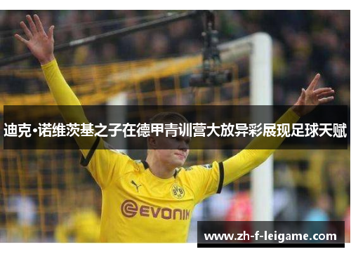 迪克·诺维茨基之子在德甲青训营大放异彩展现足球天赋